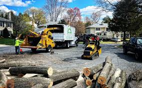 Best Hazardous Tree Removal  in King, WI