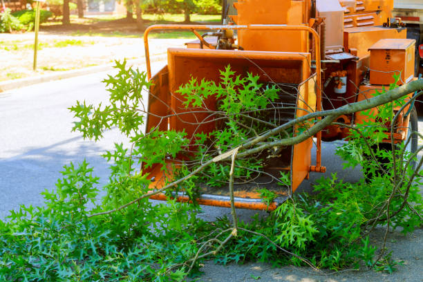 Best Lawn Watering Services  in King, WI